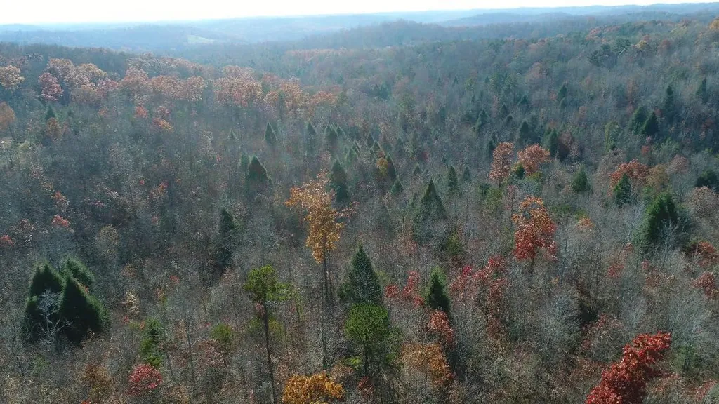 4520 Mill Creek Road Parkers Lake KY 42634