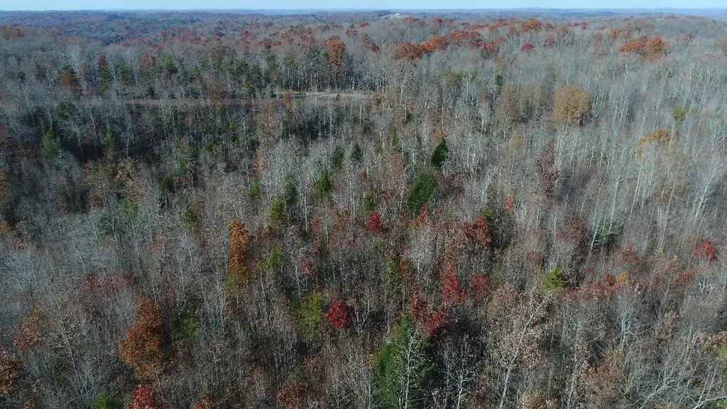 4520 Mill Creek Road Parkers Lake KY 42634
