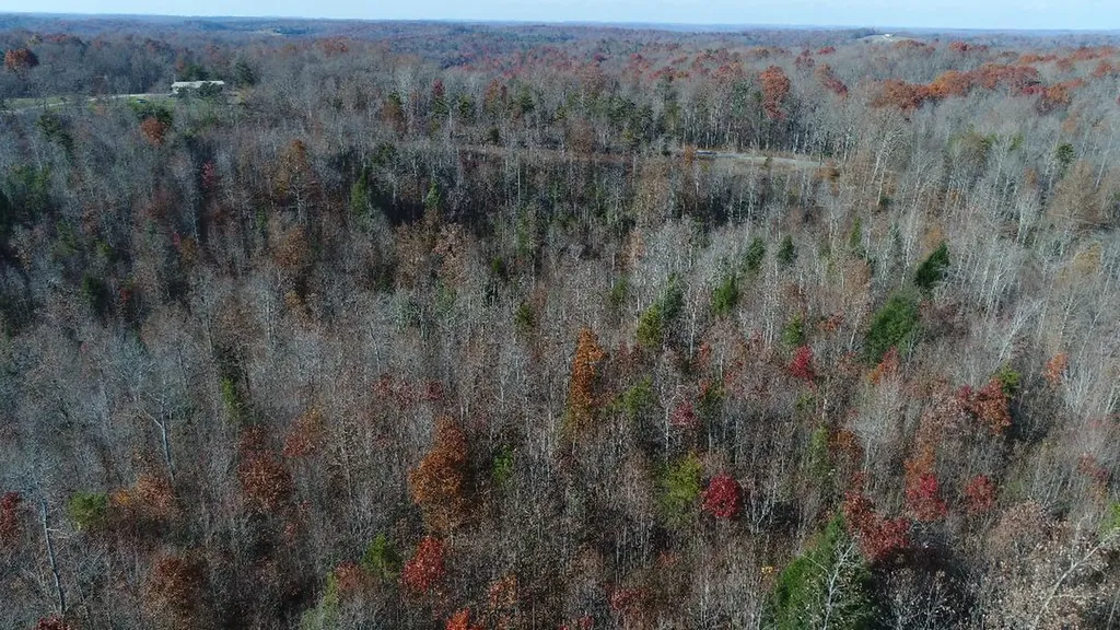 4520 Mill Creek Road Parkers Lake KY 42634