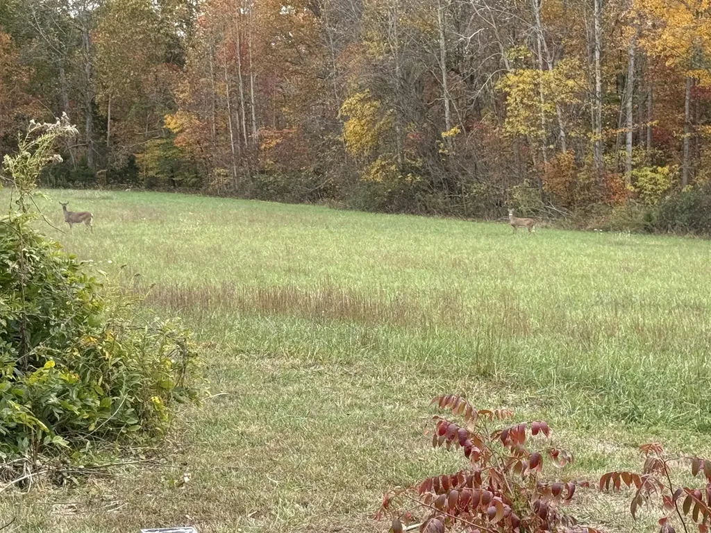 872 Bastin Creek Road Kings Mountain KY 40442