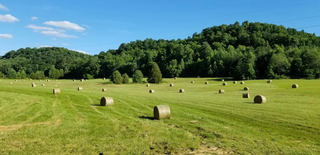 872 Bastin Creek Road Kings Mountain KY 40442