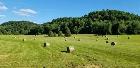 872 Bastin Creek Road Kings Mountain KY 40442