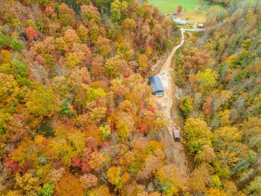 800 Left Johnson Fork Salyersville KY 41465