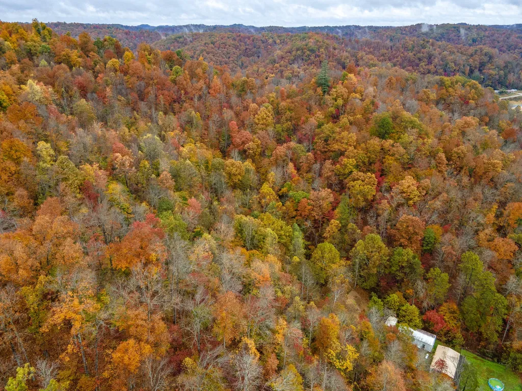 800 Left Johnson Fork Salyersville KY 41465