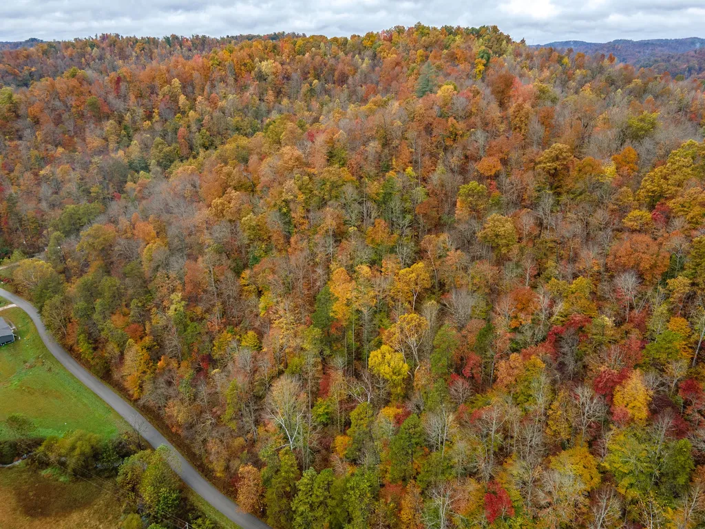 800 Left Johnson Fork Salyersville KY 41465