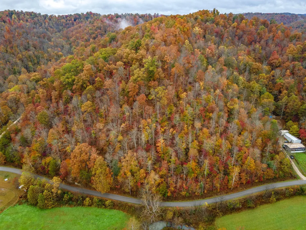 800 Left Johnson Fork Salyersville KY 41465