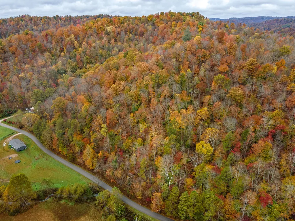 800 Left Johnson Fork Salyersville KY 41465