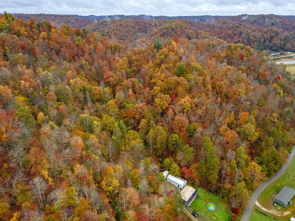 800 Left Johnson Fork Salyersville KY 41465