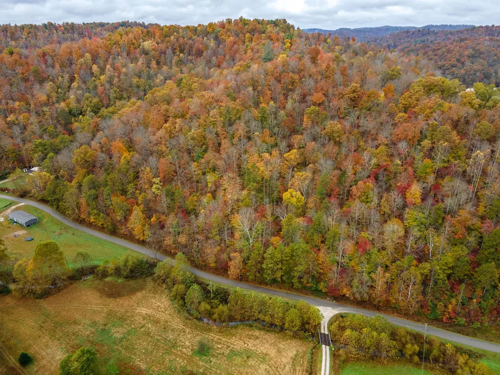 800 Left Johnson Fork Salyersville KY 41465
