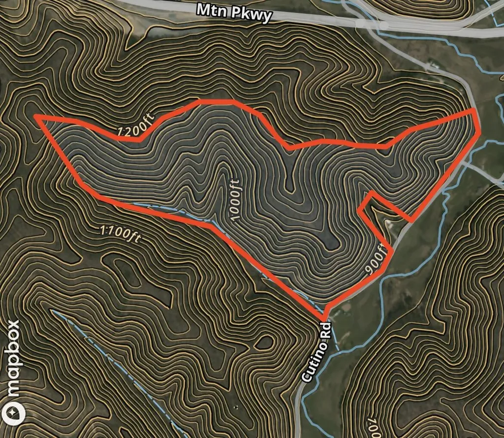 800 Left Johnson Fork Salyersville KY 41465