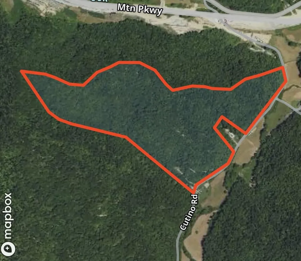 800 Left Johnson Fork Salyersville KY 41465