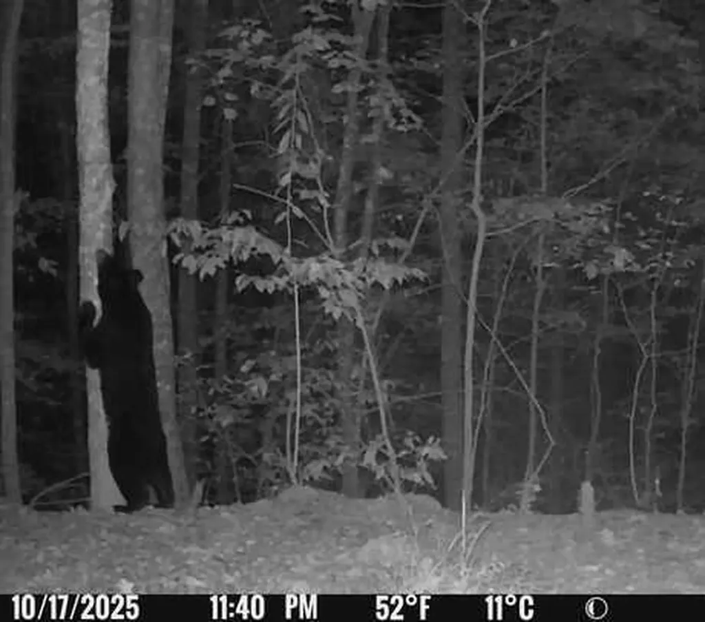 800 Left Johnson Fork Salyersville KY 41465