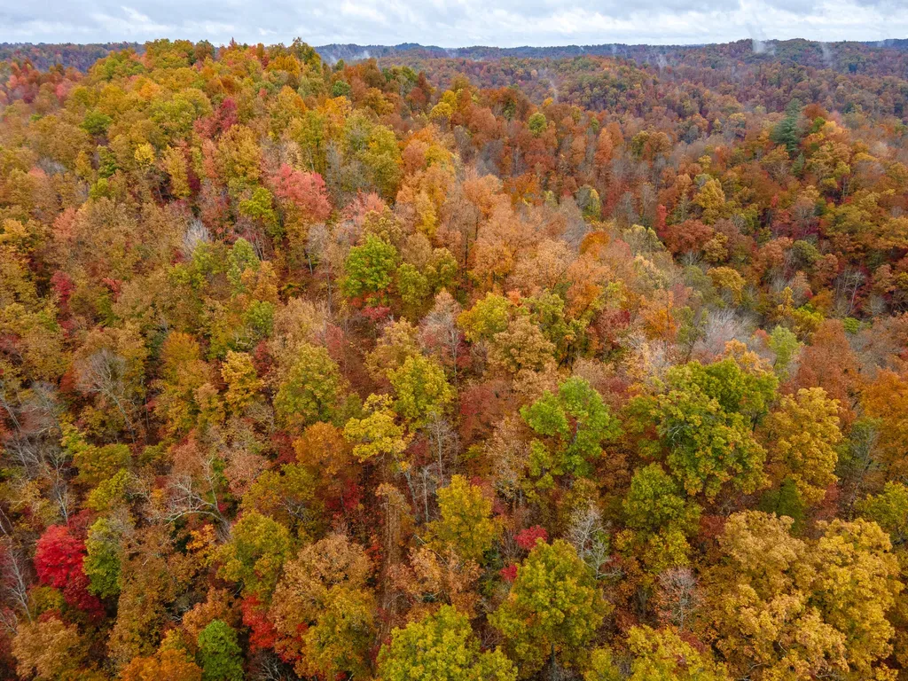 800 Left Johnson Fork Salyersville KY 41465