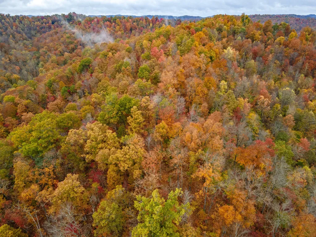 800 Left Johnson Fork Salyersville KY 41465