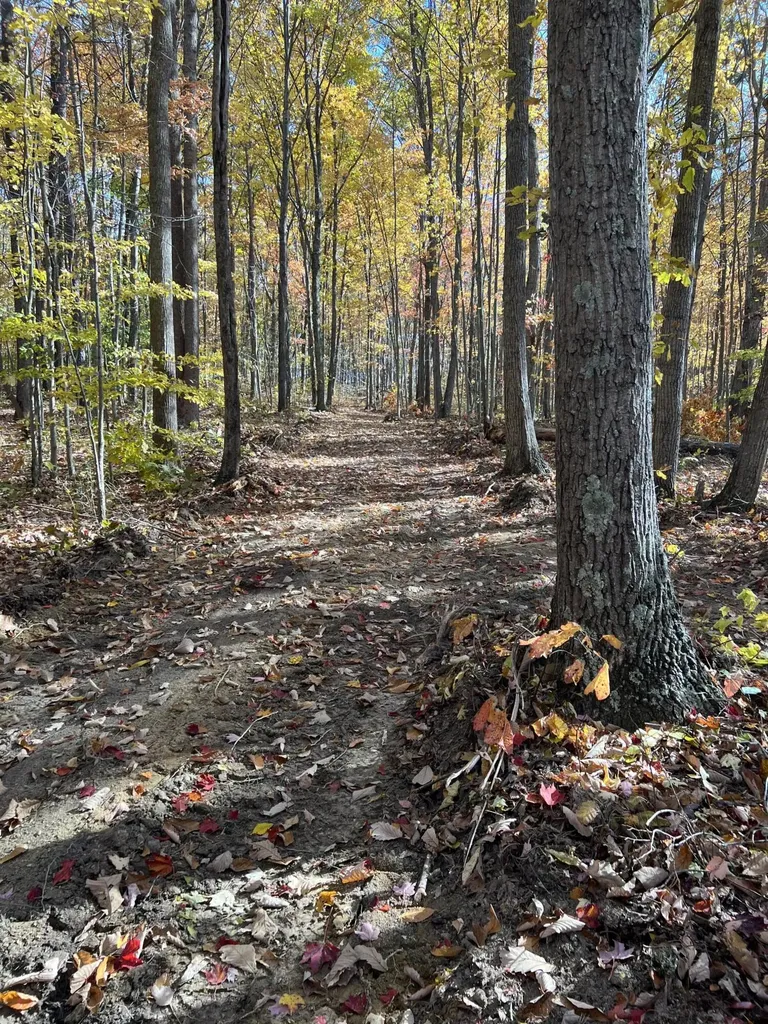 2222 Bridge Rock Road Mckee KY 40447