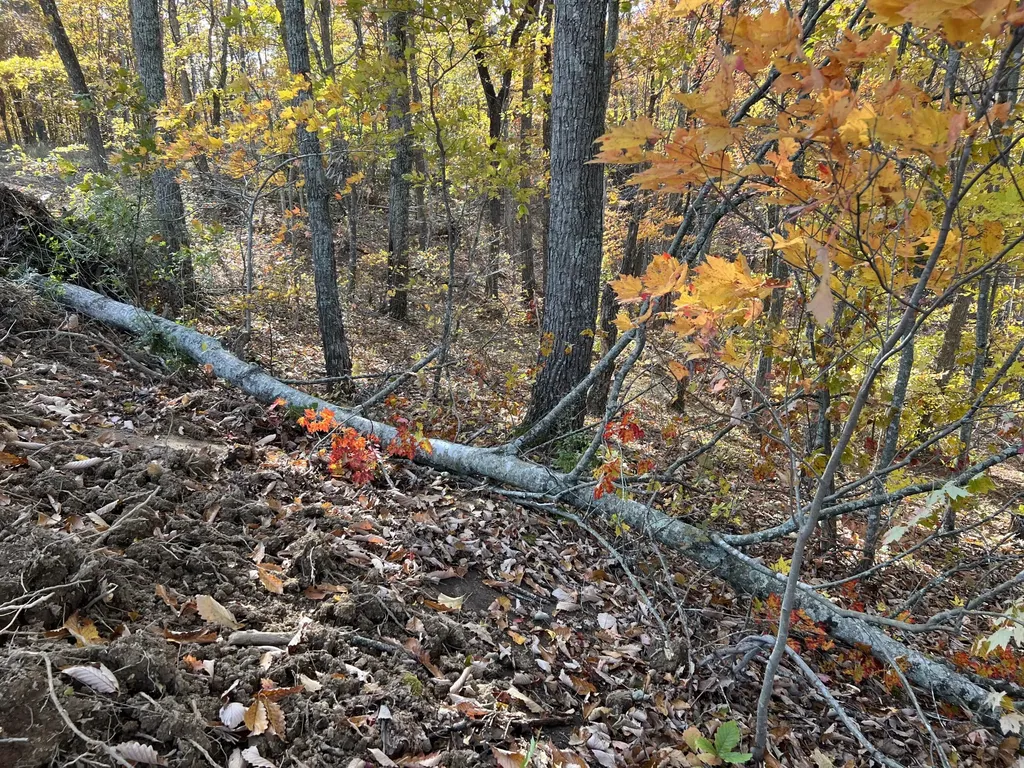 2222 Bridge Rock Road Mckee KY 40447