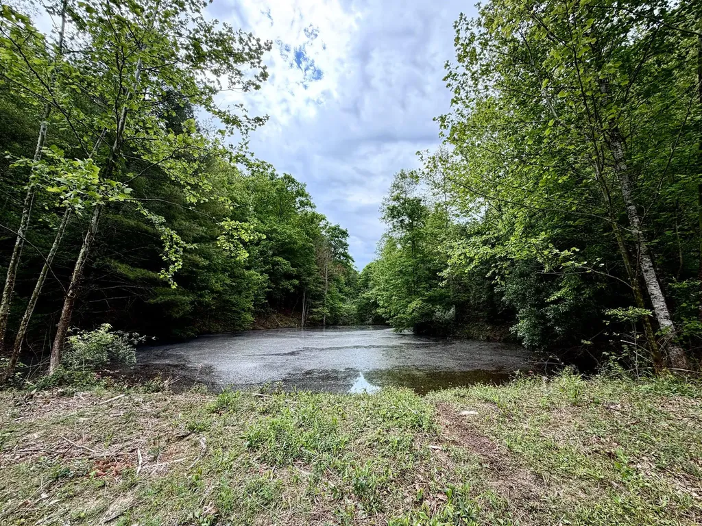 379A Highway 1690 Louisa KY 41230