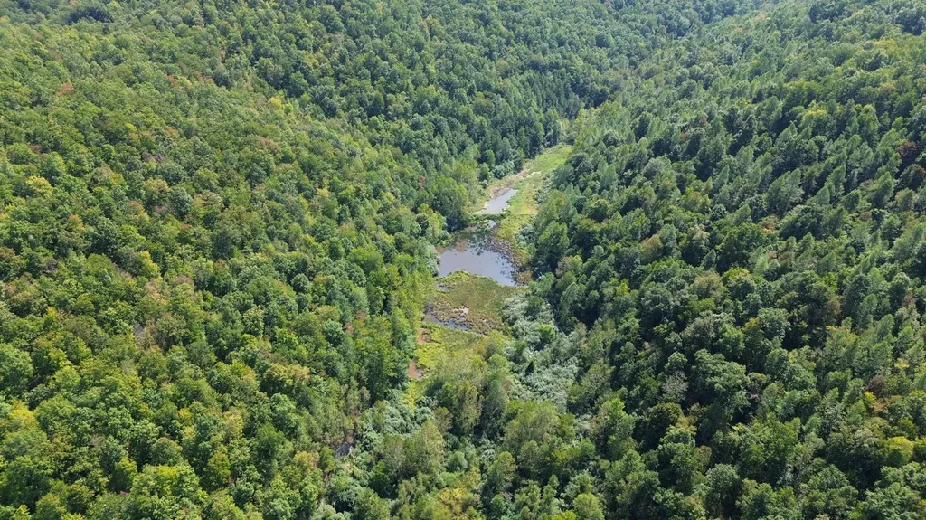379A Highway 1690 Louisa KY 41230