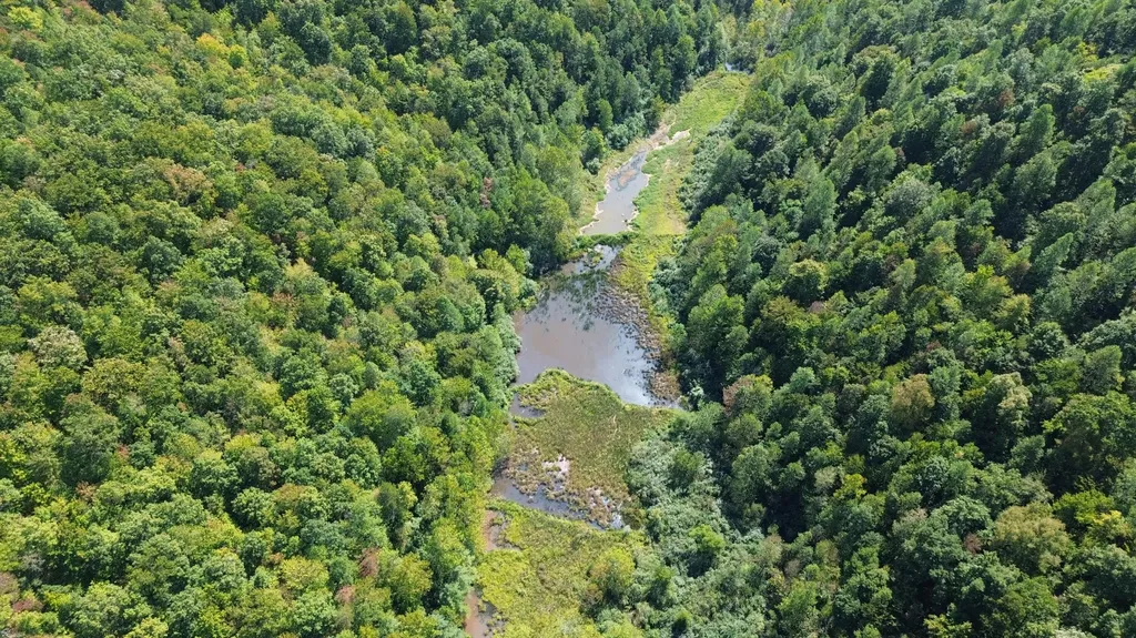 379A Highway 1690 Louisa KY 41230