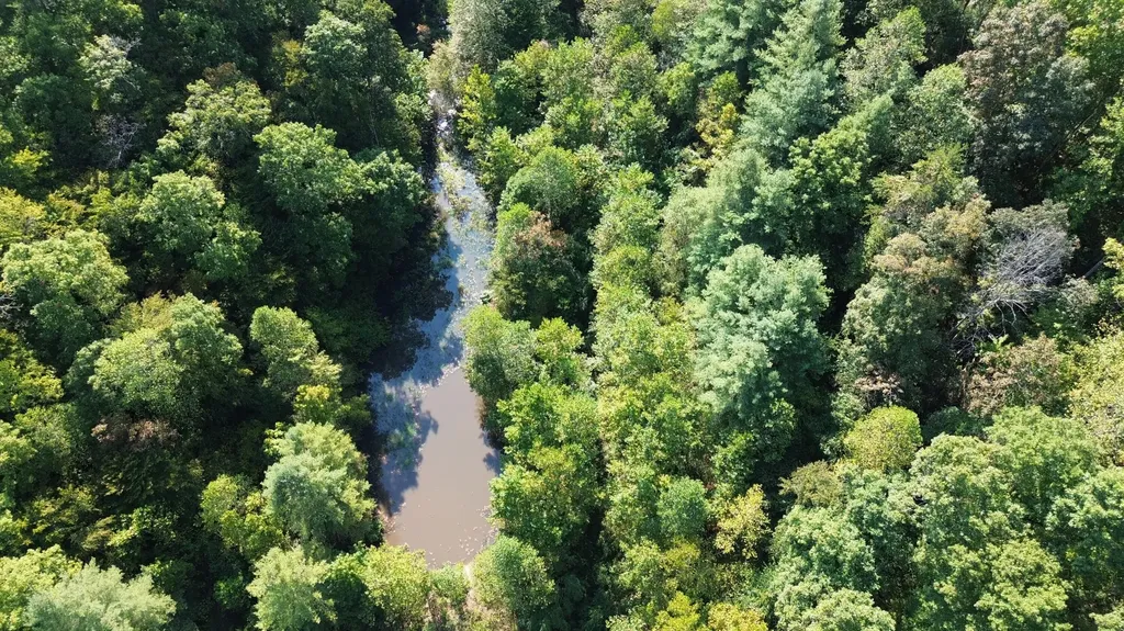 379A Highway 1690 Louisa KY 41230