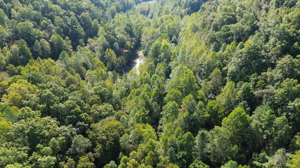 379A Highway 1690 Louisa KY 41230