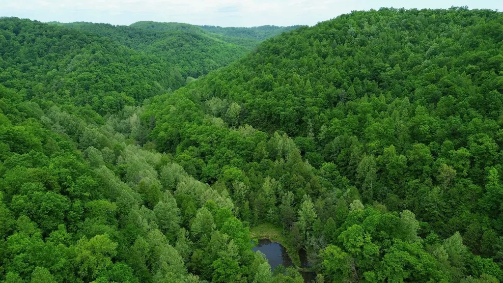 379A Highway 1690 Louisa KY 41230