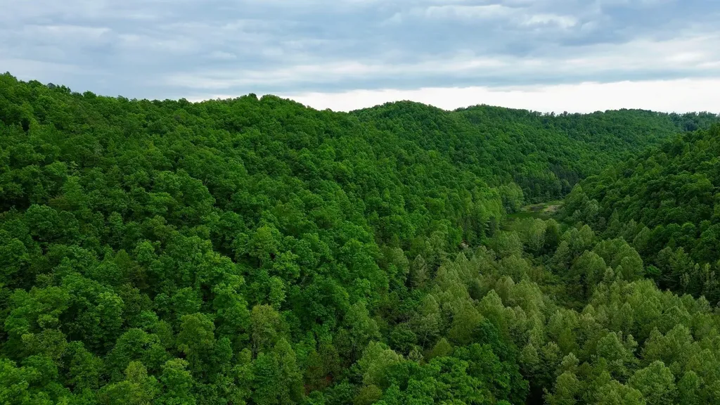 379A Highway 1690 Louisa KY 41230