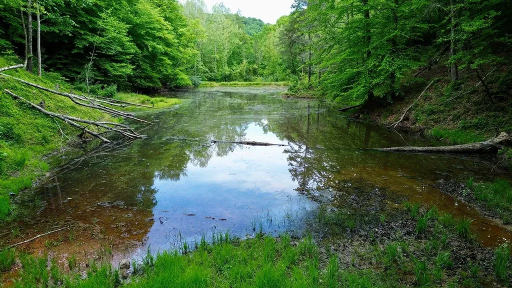 379A Highway 1690 Louisa KY 41230