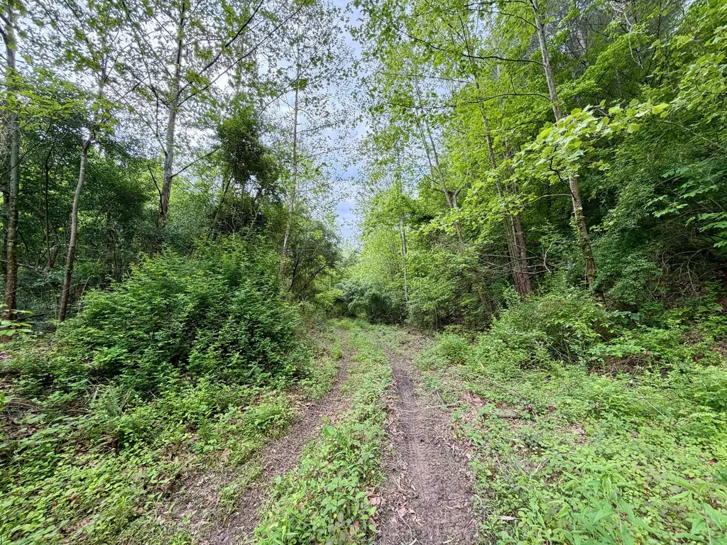 379A Highway 1690 Louisa KY 41230