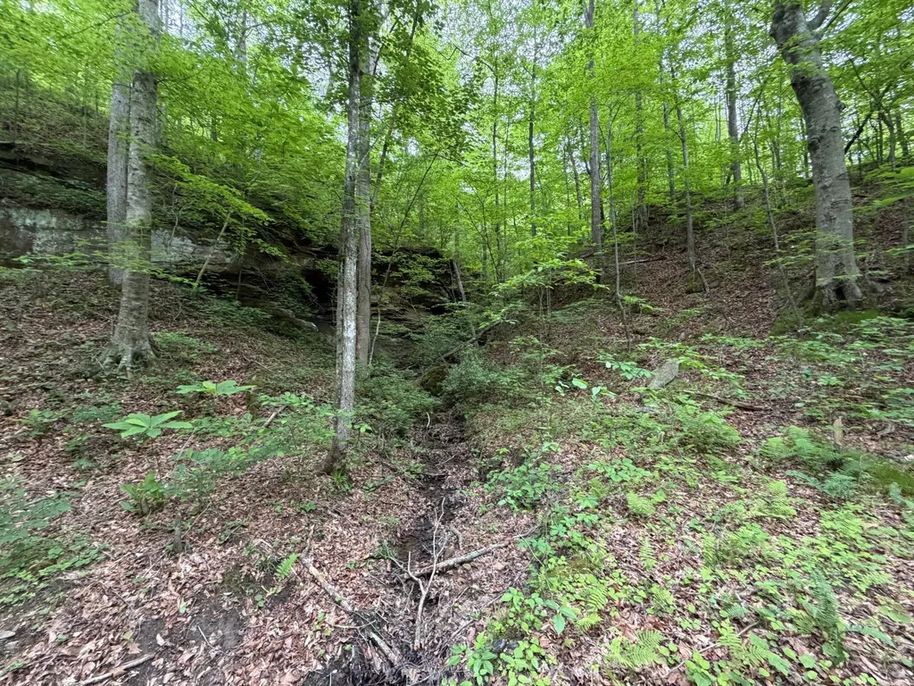 379A Highway 1690 Louisa KY 41230