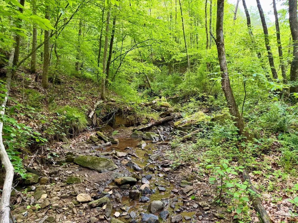 379A Highway 1690 Louisa KY 41230