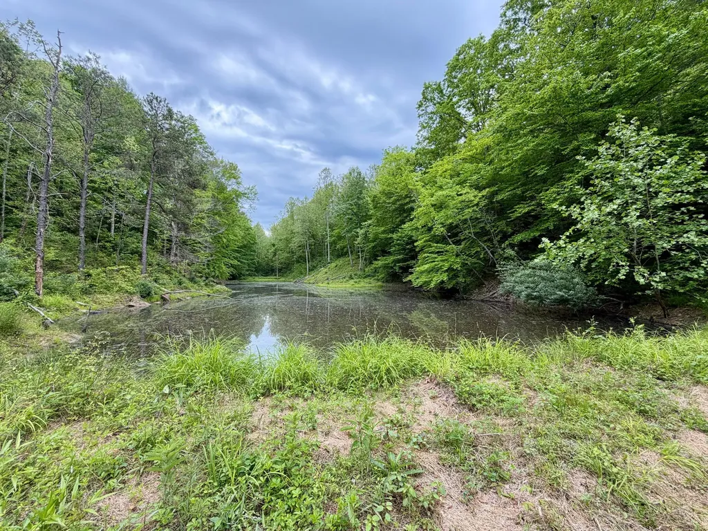 379A Highway 1690 Louisa KY 41230