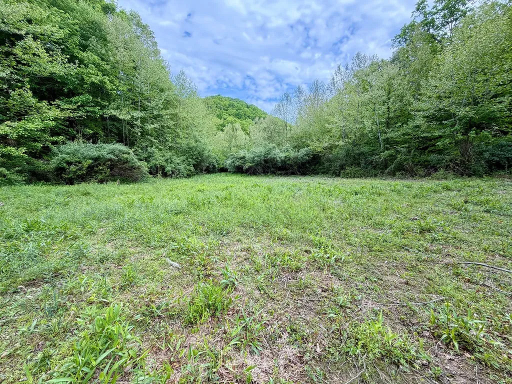 379A Highway 1690 Louisa KY 41230
