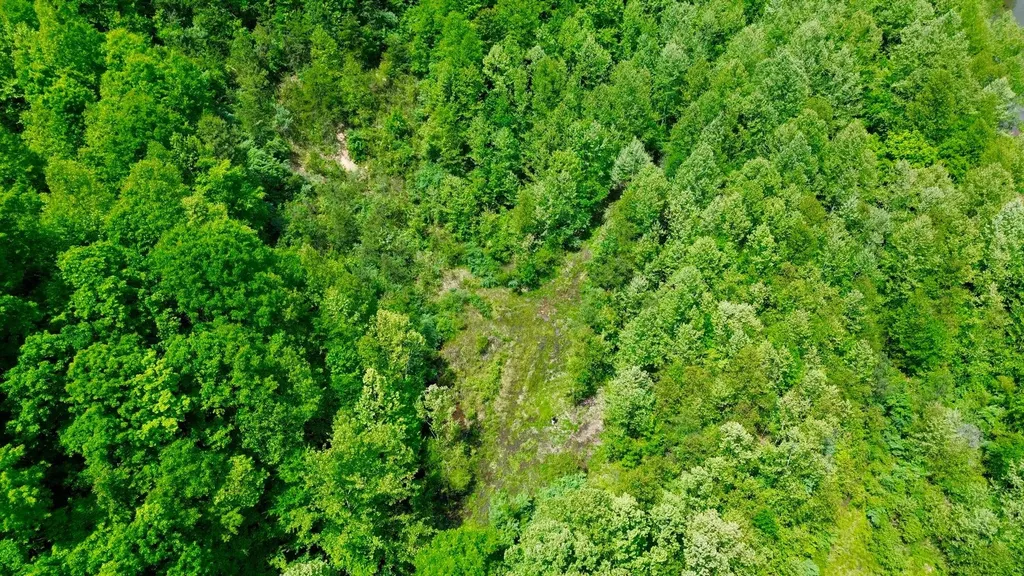 379A Highway 1690 Louisa KY 41230