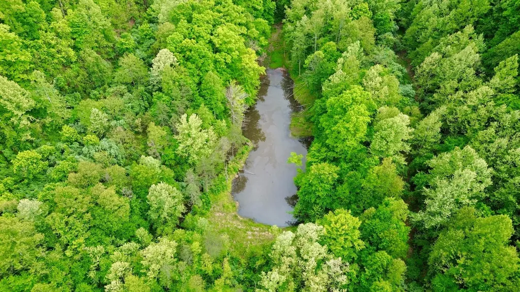 379A Highway 1690 Louisa KY 41230