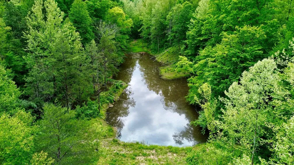 379A Highway 1690 Louisa KY 41230