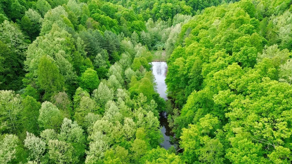 379A Highway 1690 Louisa KY 41230