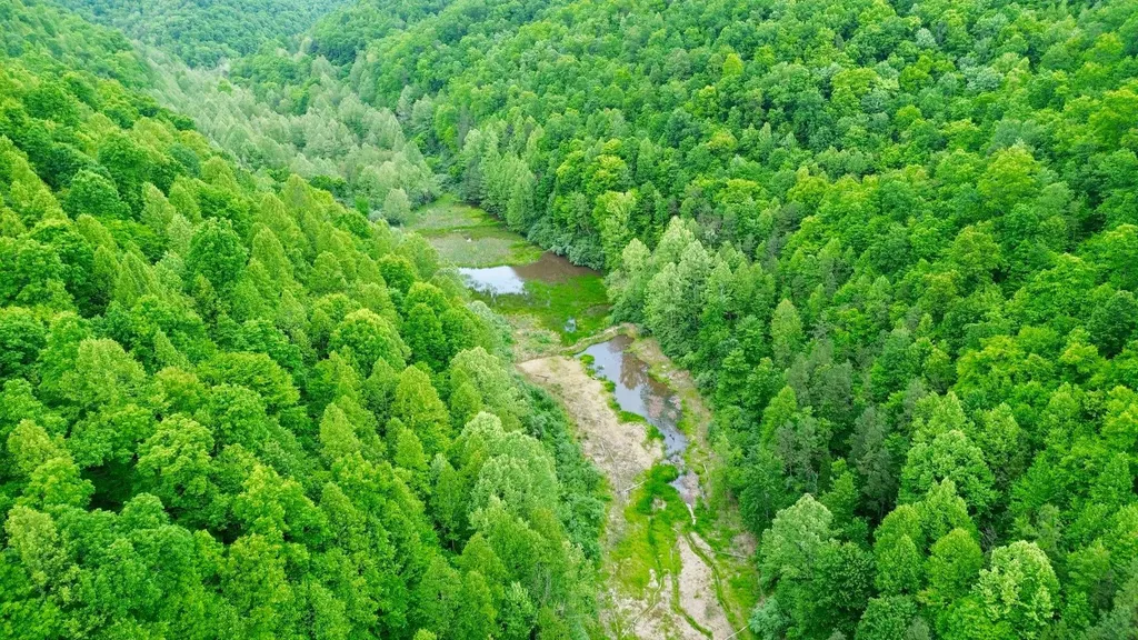 379A Highway 1690 Louisa KY 41230