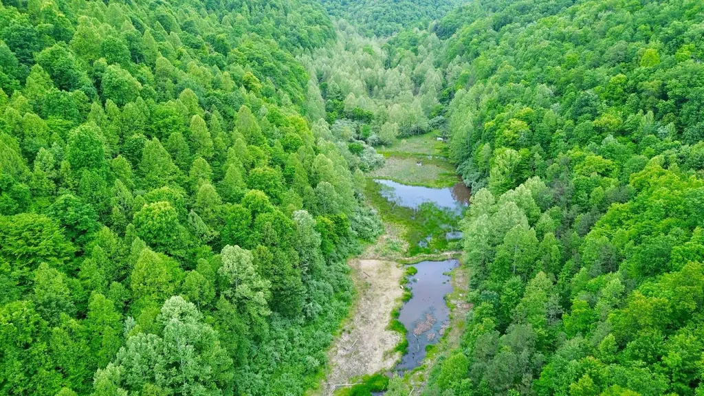 379A Highway 1690 Louisa KY 41230