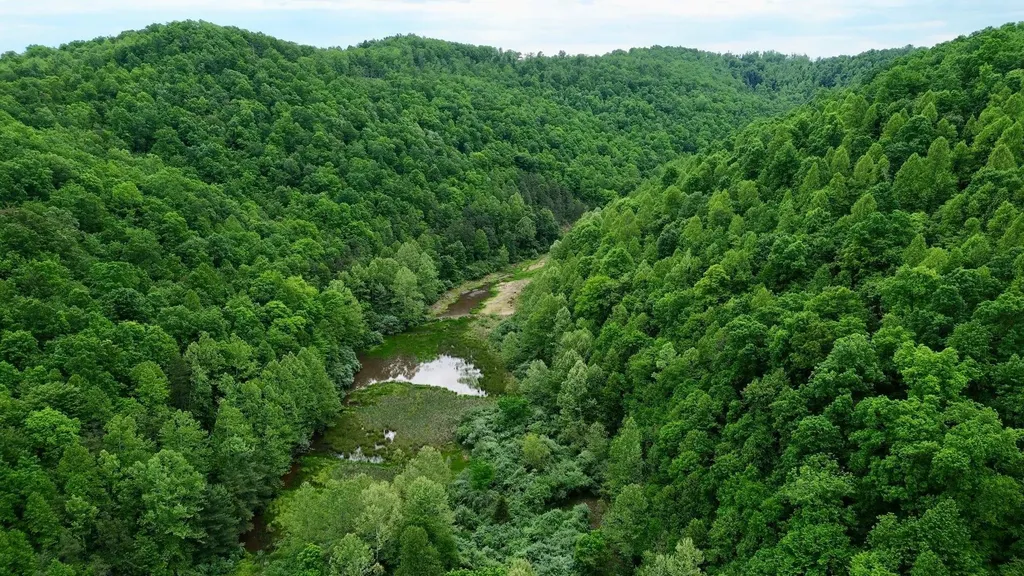 379A Highway 1690 Louisa KY 41230