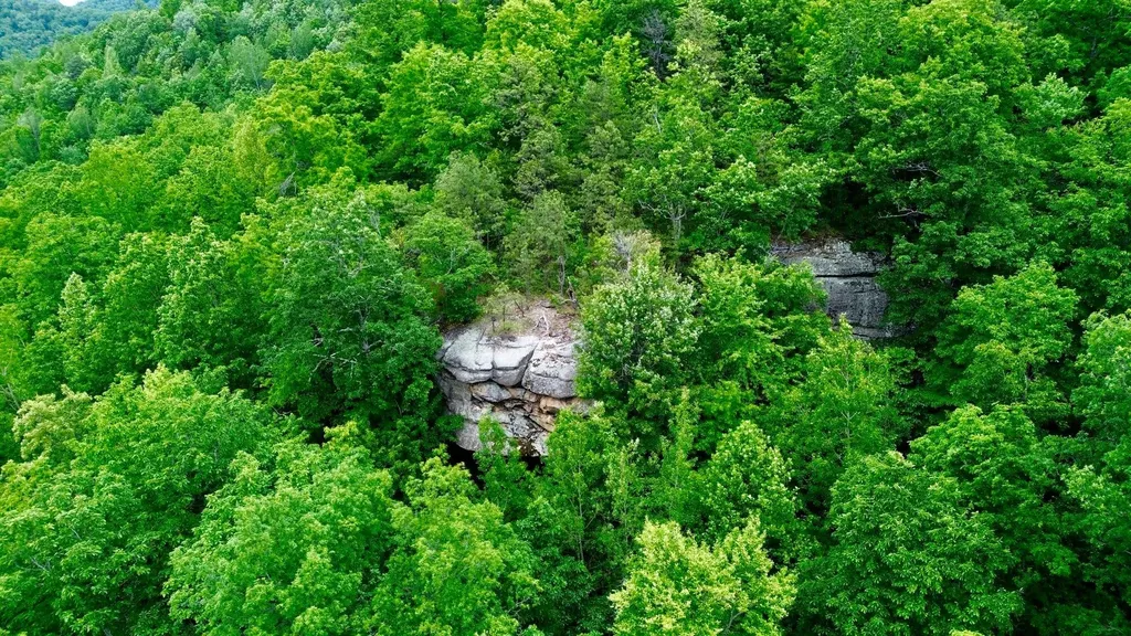 379A Highway 1690 Louisa KY 41230