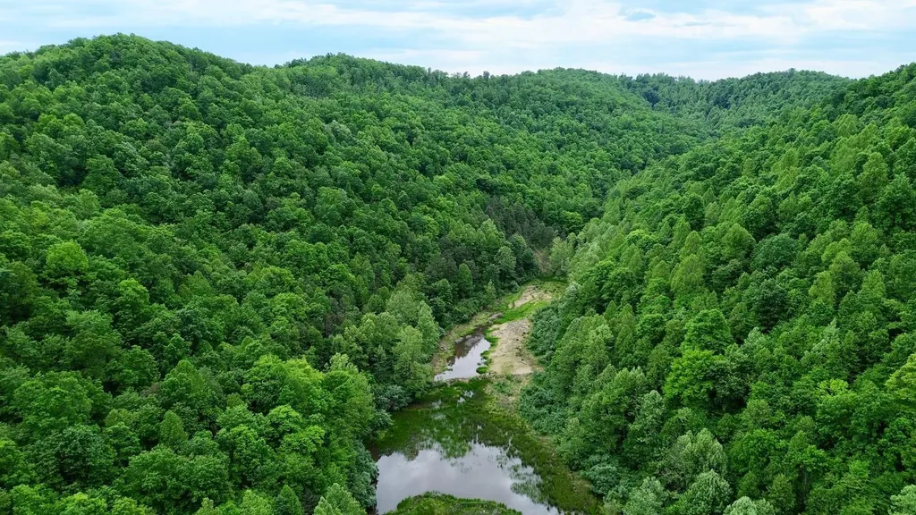 379A Highway 1690 Louisa KY 41230