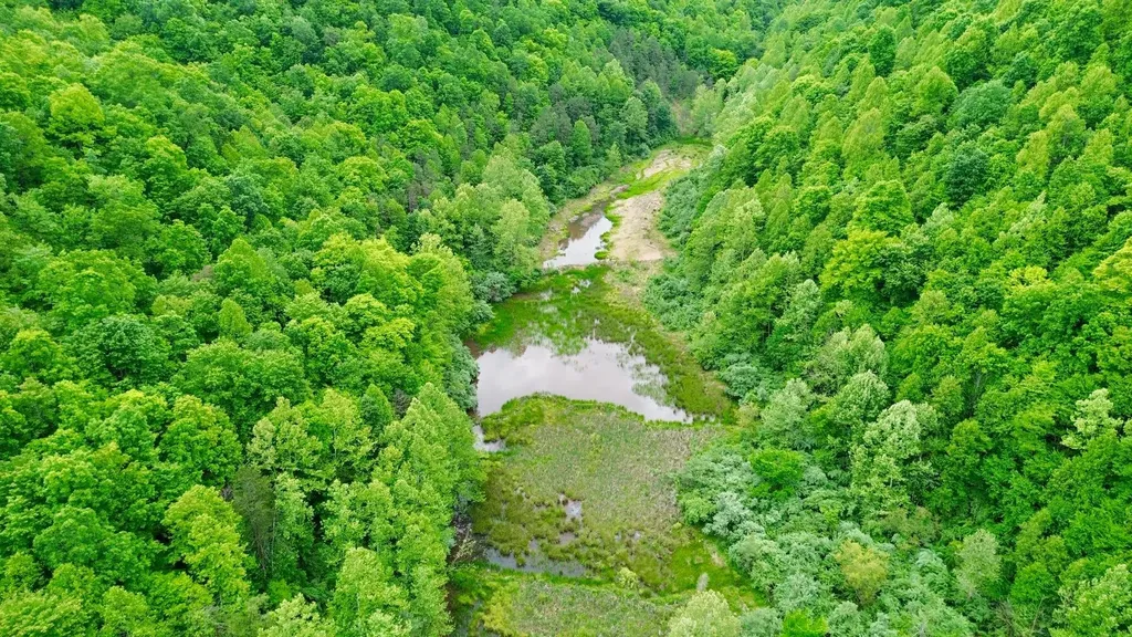 379A Highway 1690 Louisa KY 41230