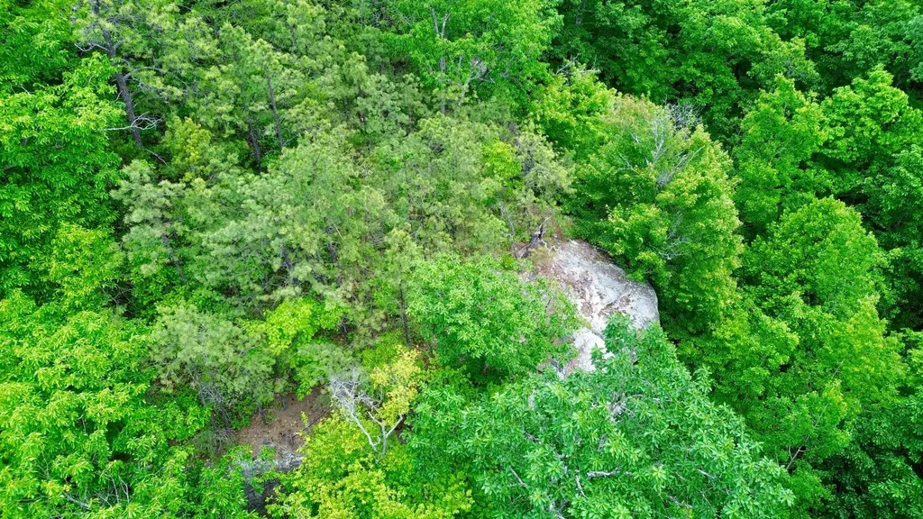 379A Highway 1690 Louisa KY 41230
