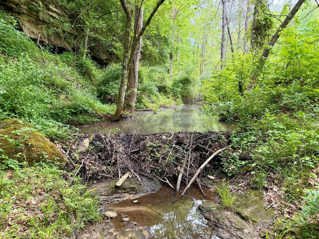 379A Highway 1690 Louisa KY 41230