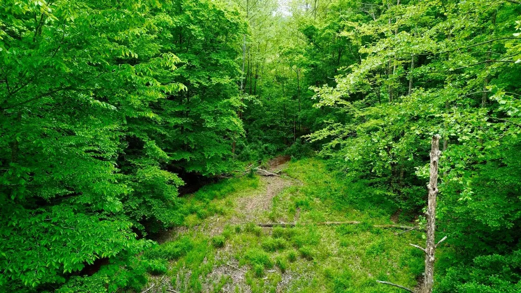 379A Highway 1690 Louisa KY 41230