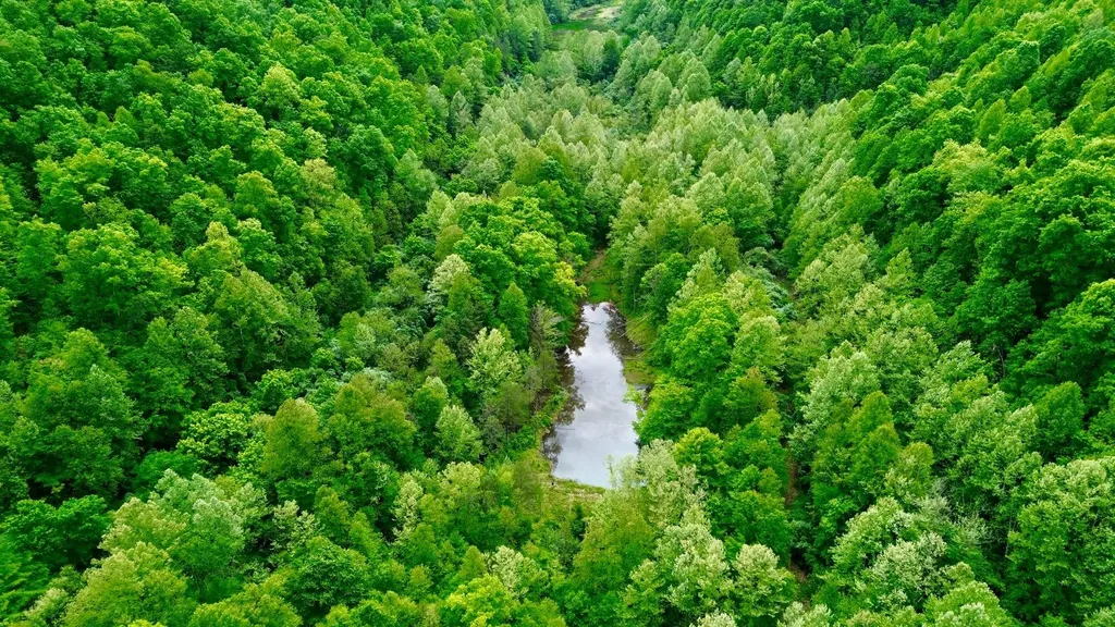 379A Highway 1690 Louisa KY 41230