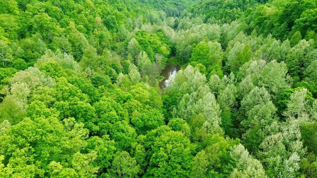 379A Highway 1690 Louisa KY 41230