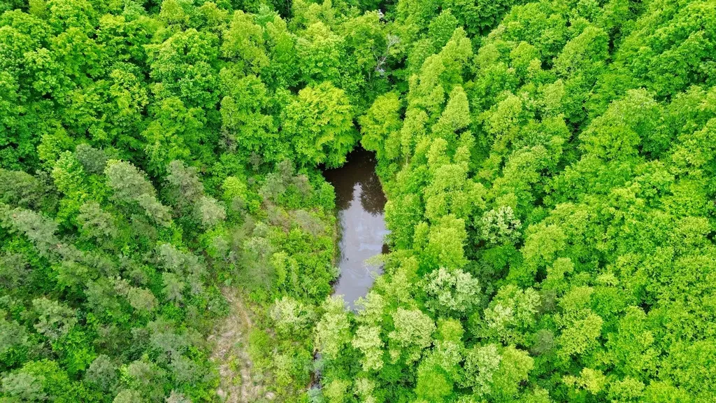 379A Highway 1690 Louisa KY 41230