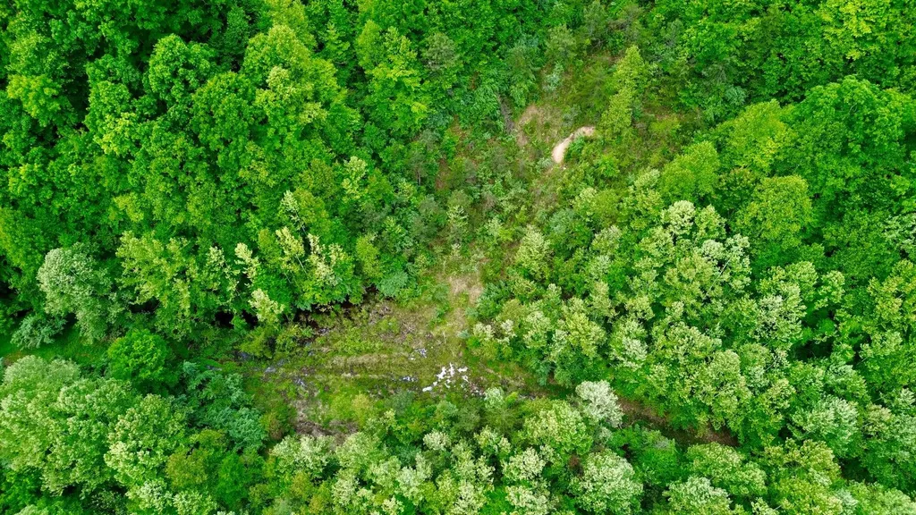 379A Highway 1690 Louisa KY 41230